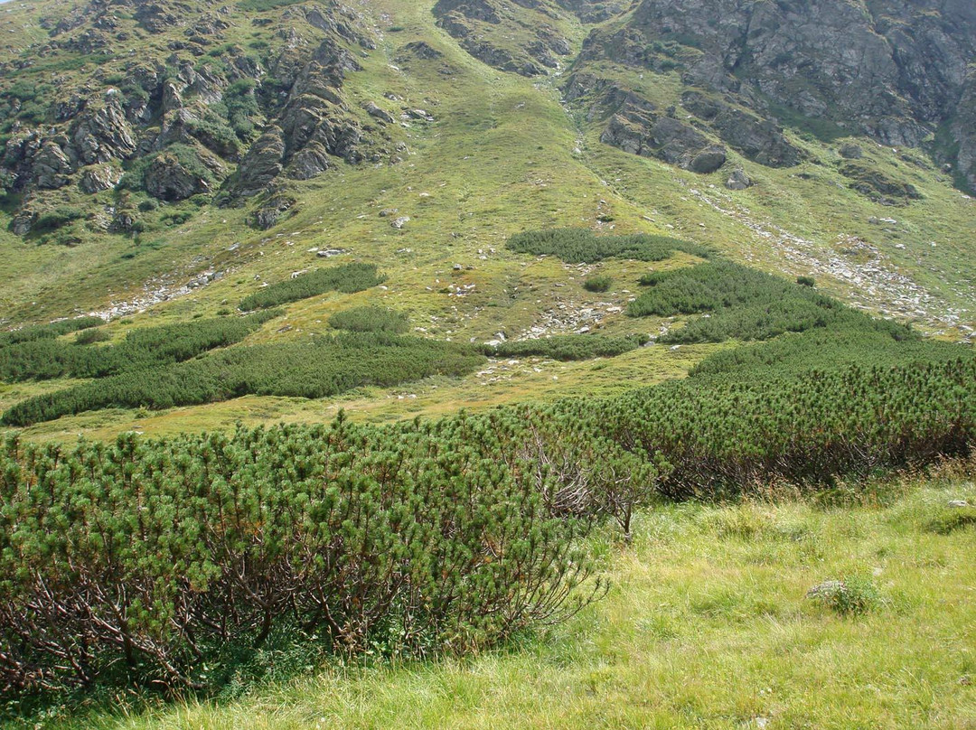 Pietrosul Rodnei Peak-Borsa必去景点