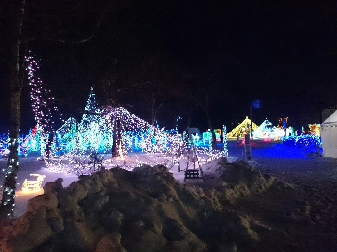 Lake Haruna Illumination Festa景点图片