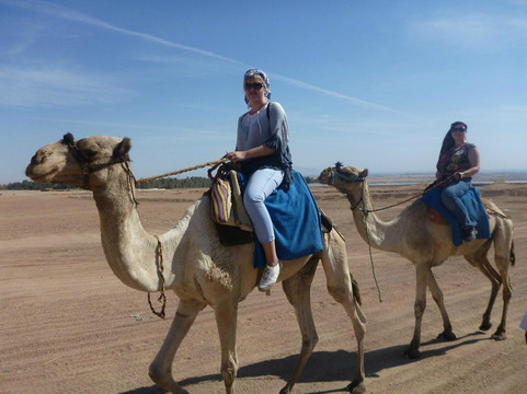 Sharm Horse Riding Sayed Abo Elrgal