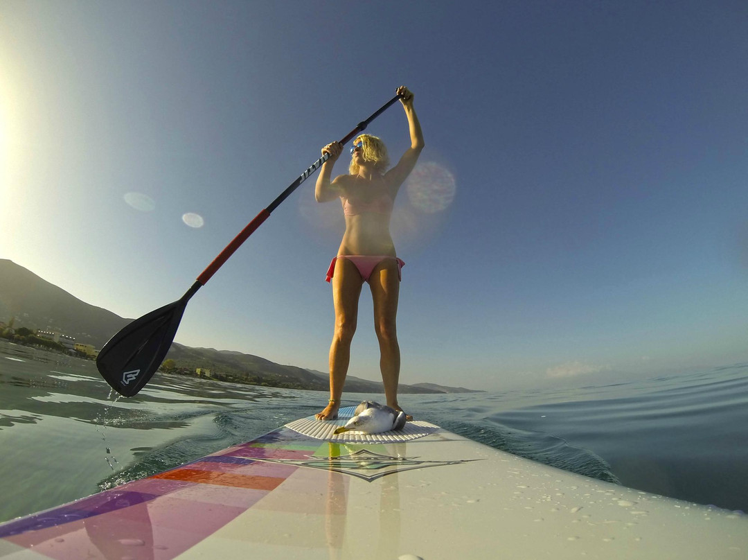 Stand Up Paddle Surf Zante-阿雷克斯必去景点