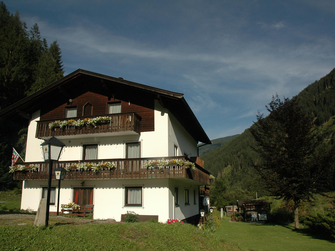 Pension Adlerhorst主图