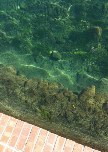 Lake Balmorhea-Balmorhea必去景点