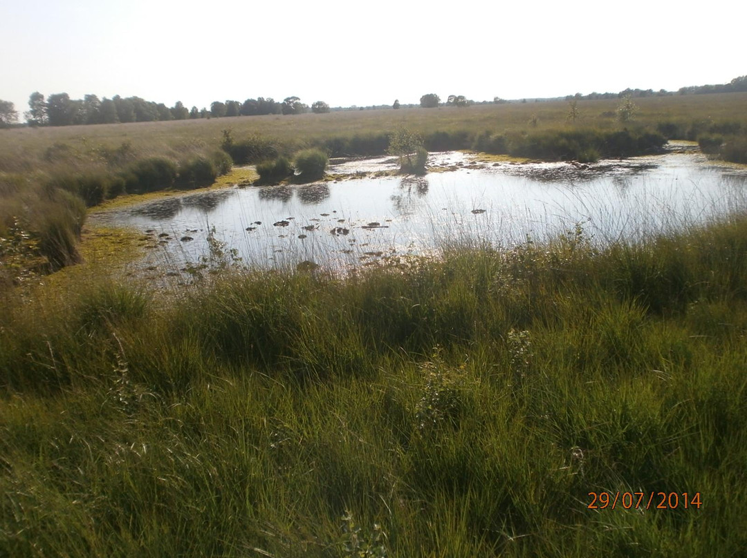 Ewiges Meer-Dornum必去景点