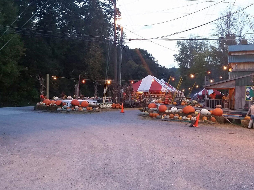 Harvest Moon Pumpkin Patch-塞维尔维尔必去景点