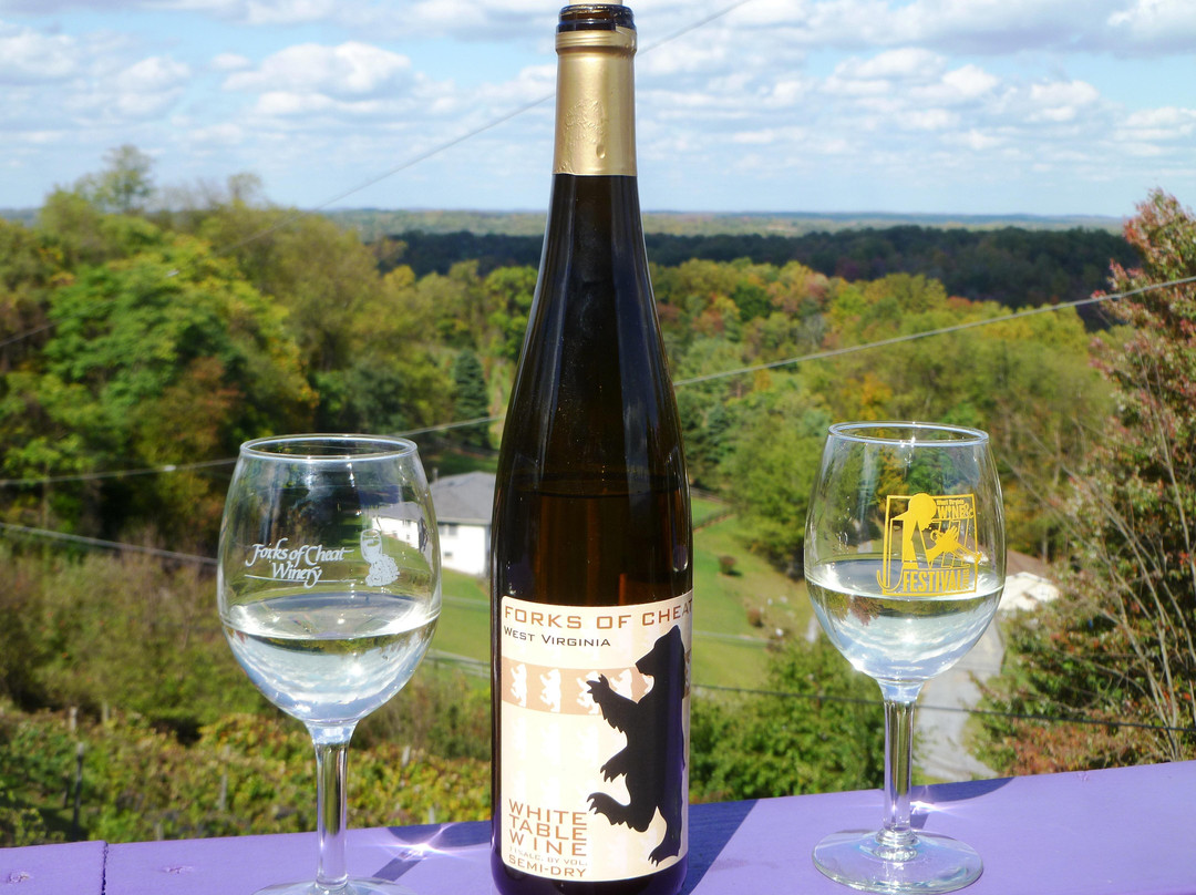 Forks of Cheat Winery景点图片