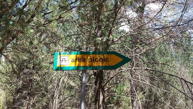 Cassano delle Murge旅游景点-Foresta Mercadante