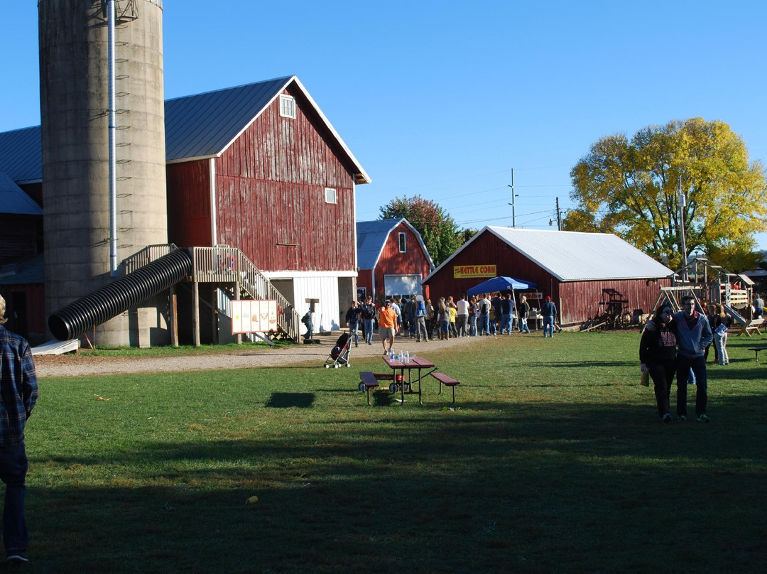 Treinen Farm Corn Maze and Pumpkin Patch-Lodi必去景点