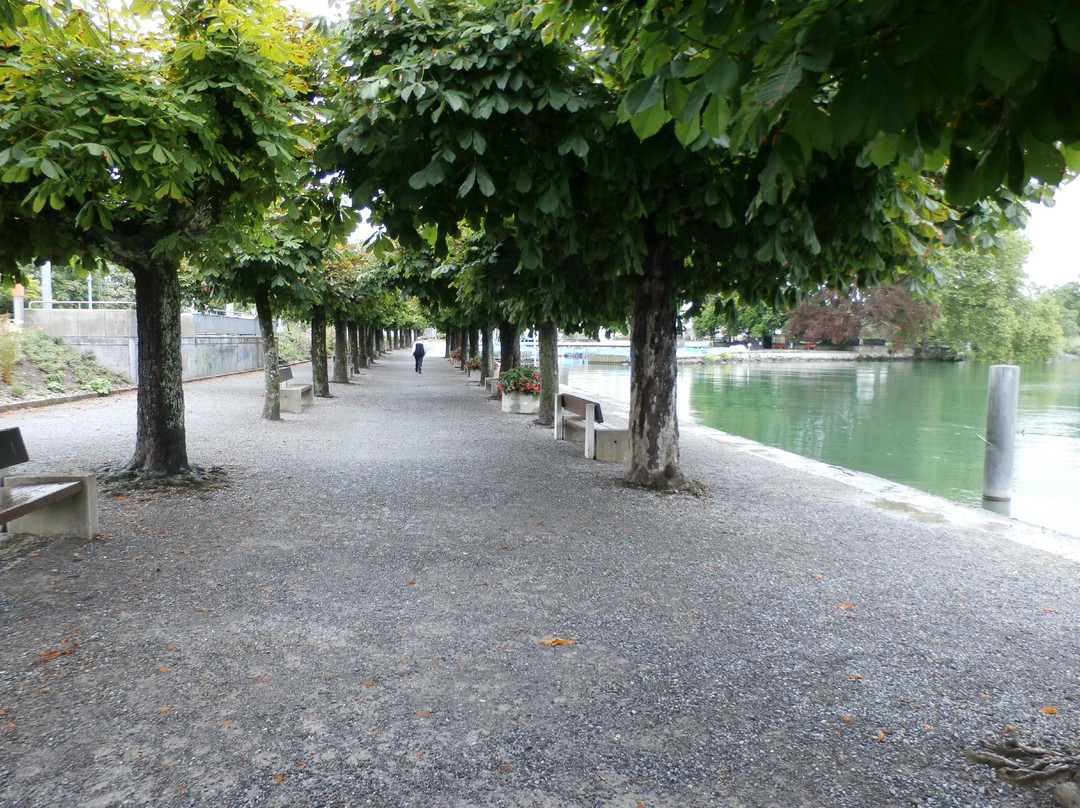 Horn Richterswil-Richterswil必去景点