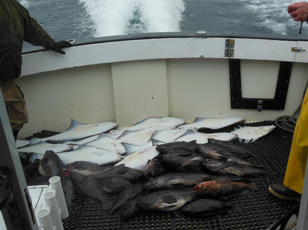 Arctic Sun Lodging主图