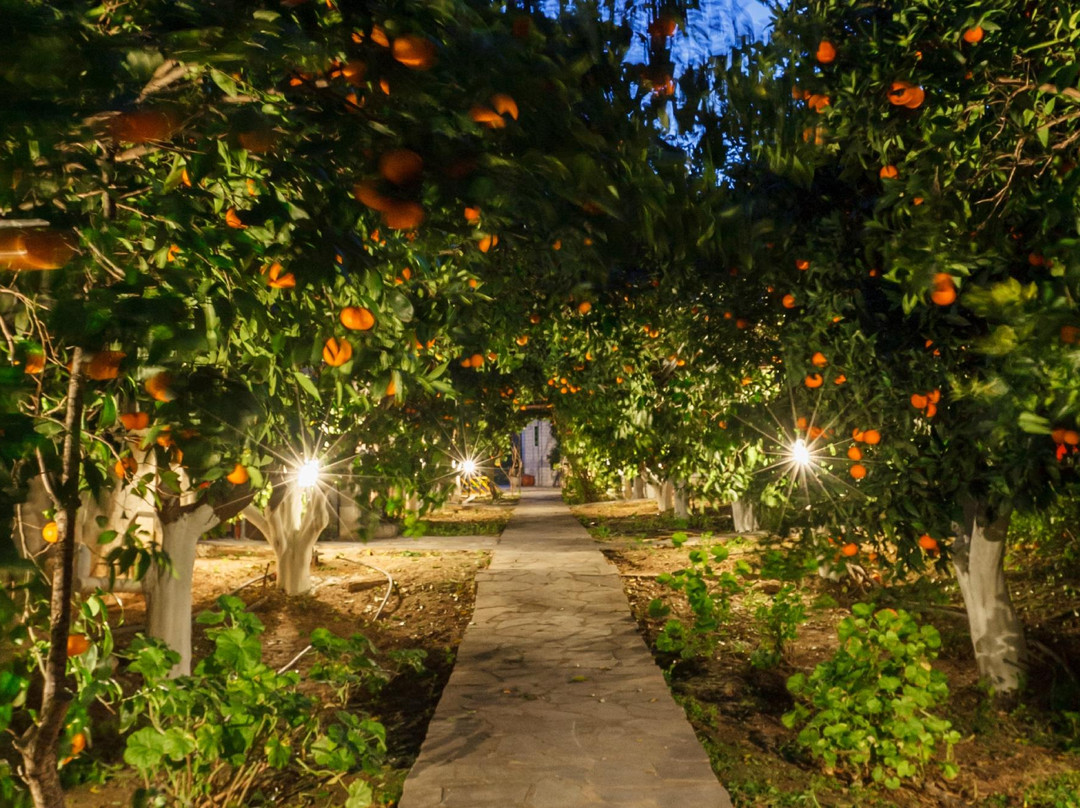 Paralia Asinis旅游攻略图片