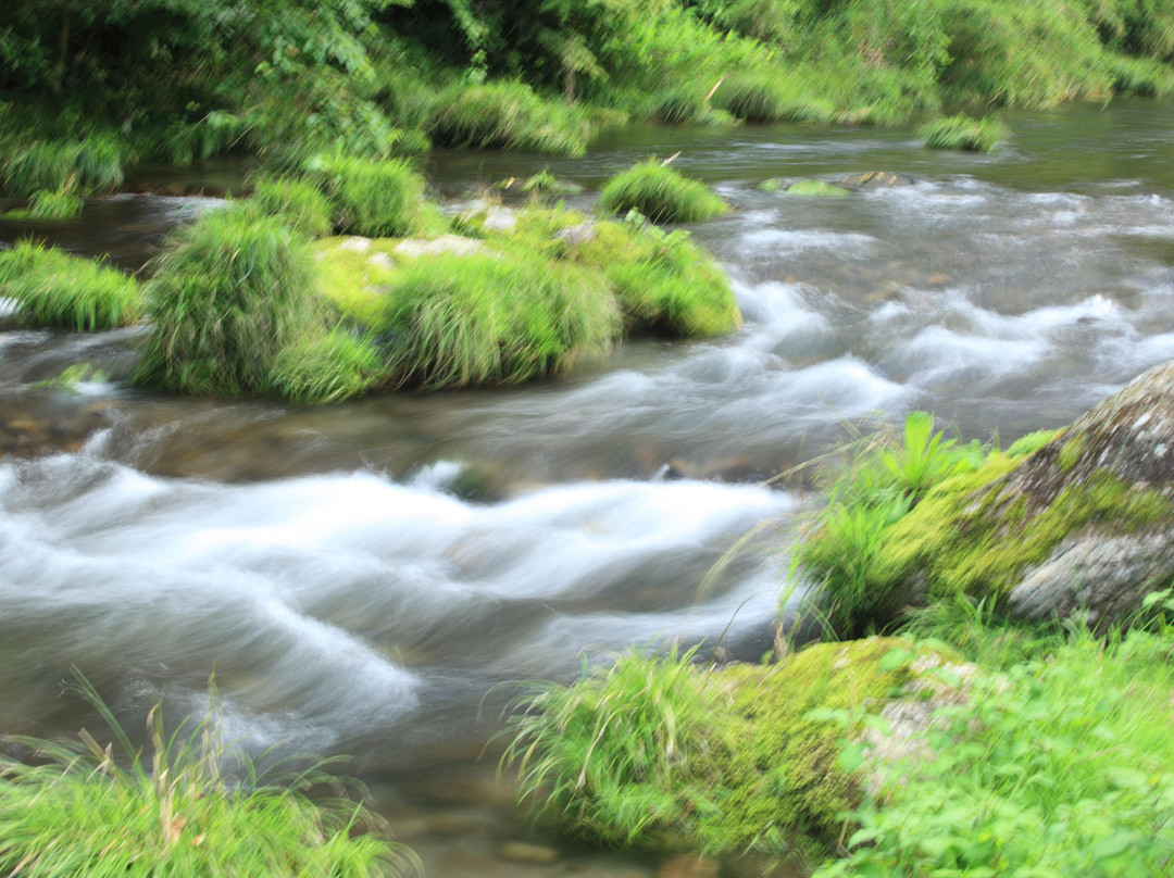 Tokuunin-秋留野市必去景点