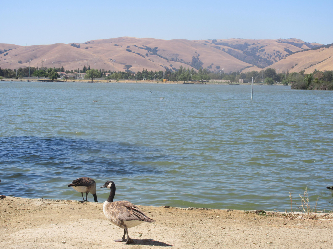 中央公园-费利蒙必去景点