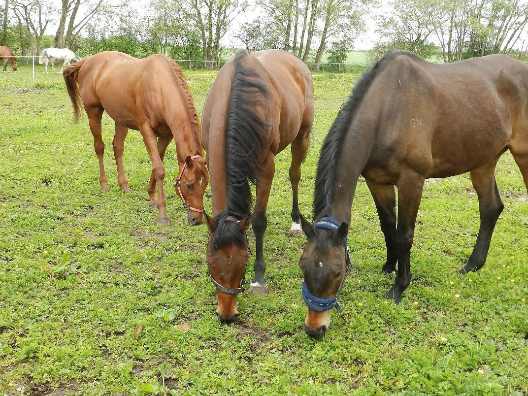 The Glen Guest House主图