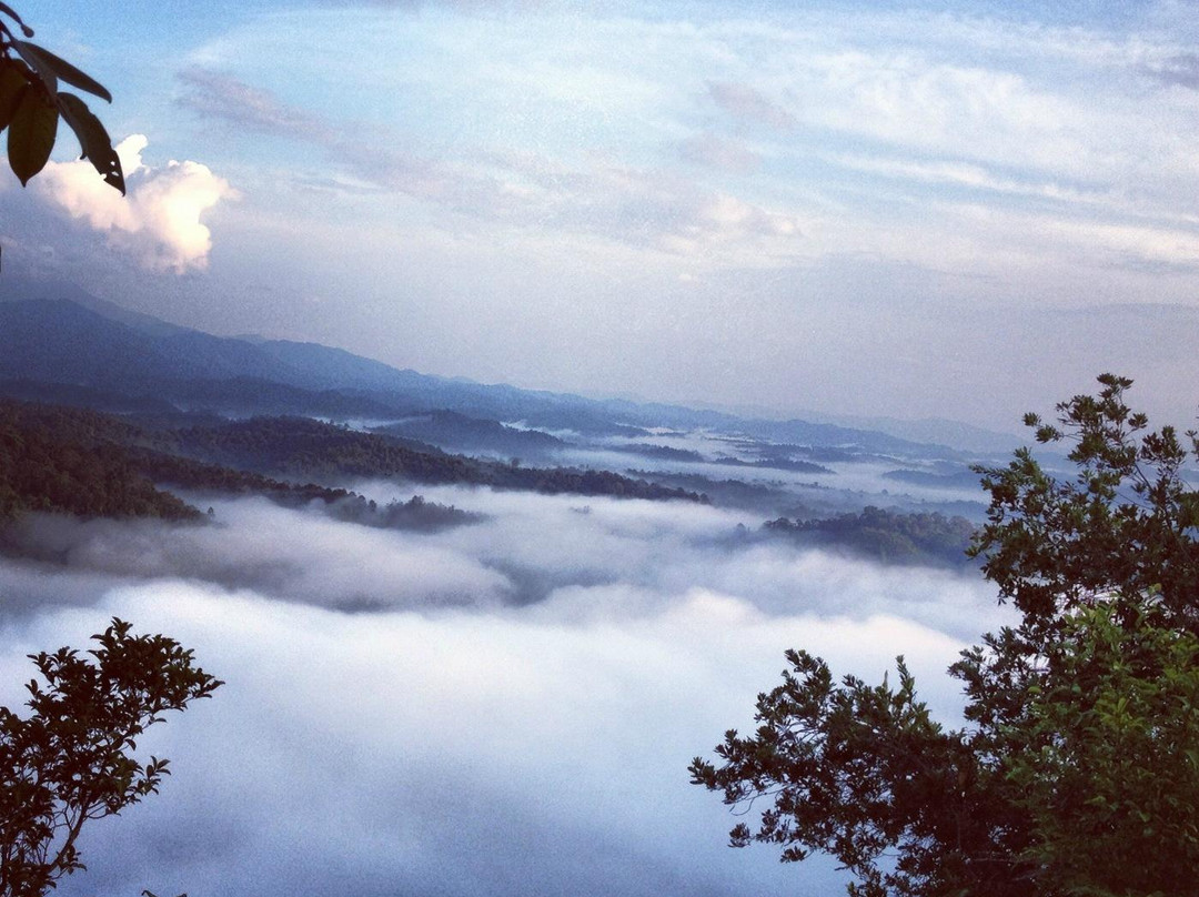 Bukit Panorama-Sungai Lembing必去景点