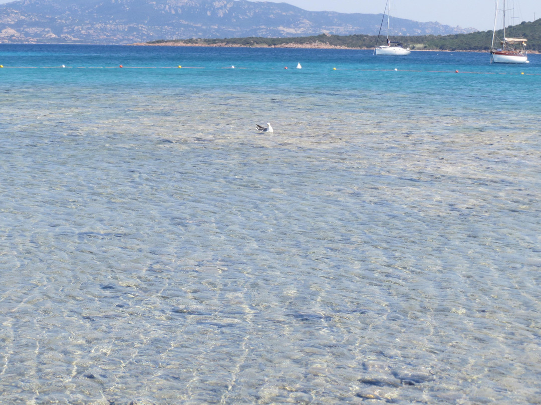 Spiaggia Porto Mannu-帕劳必去景点
