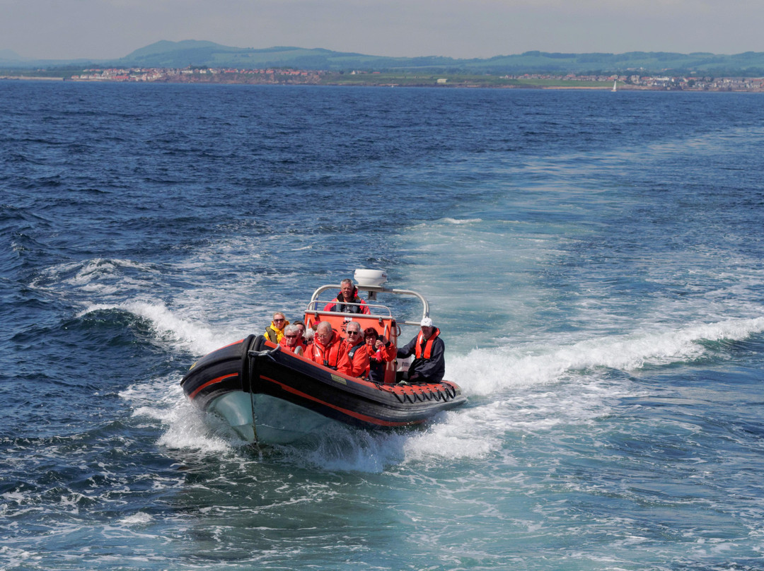Isle Of May Boat Trips-Anstruther必去景点