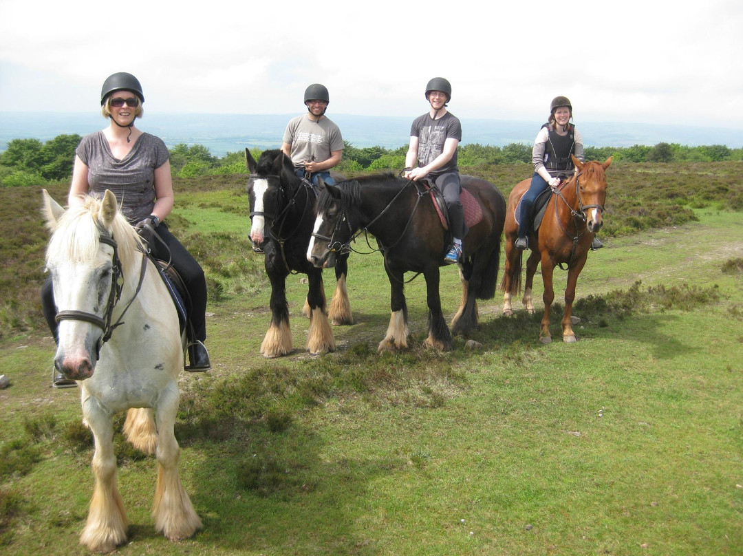 Quantock Trekking景点图片