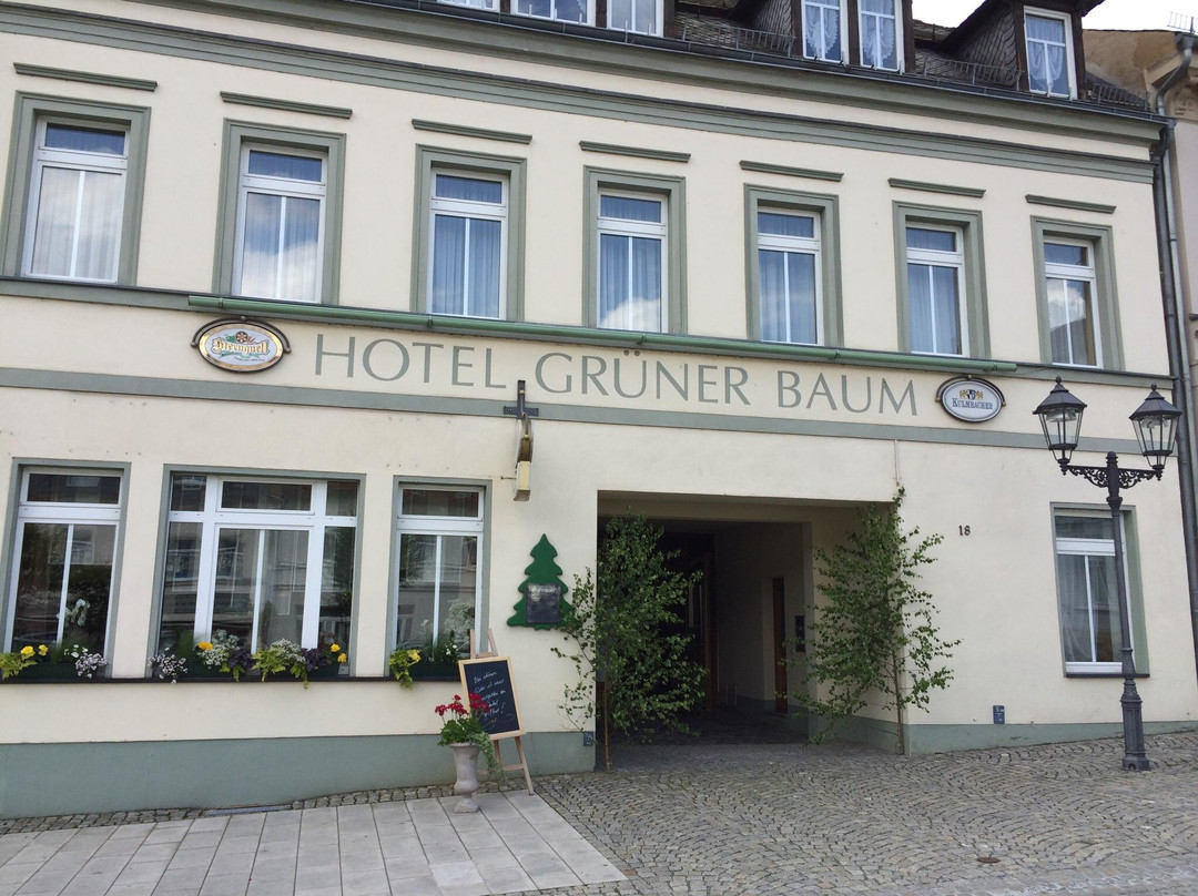 Pausa餐馆和美食-Gruner Baum Restaurant