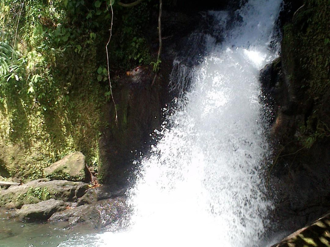 Bayugin Falls-Sorsogon必去景点
