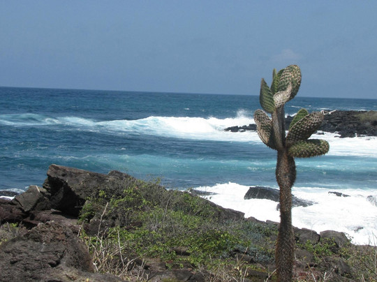 Darwin Scuba Dive-Puerto Baquerizo Moreno必去景点