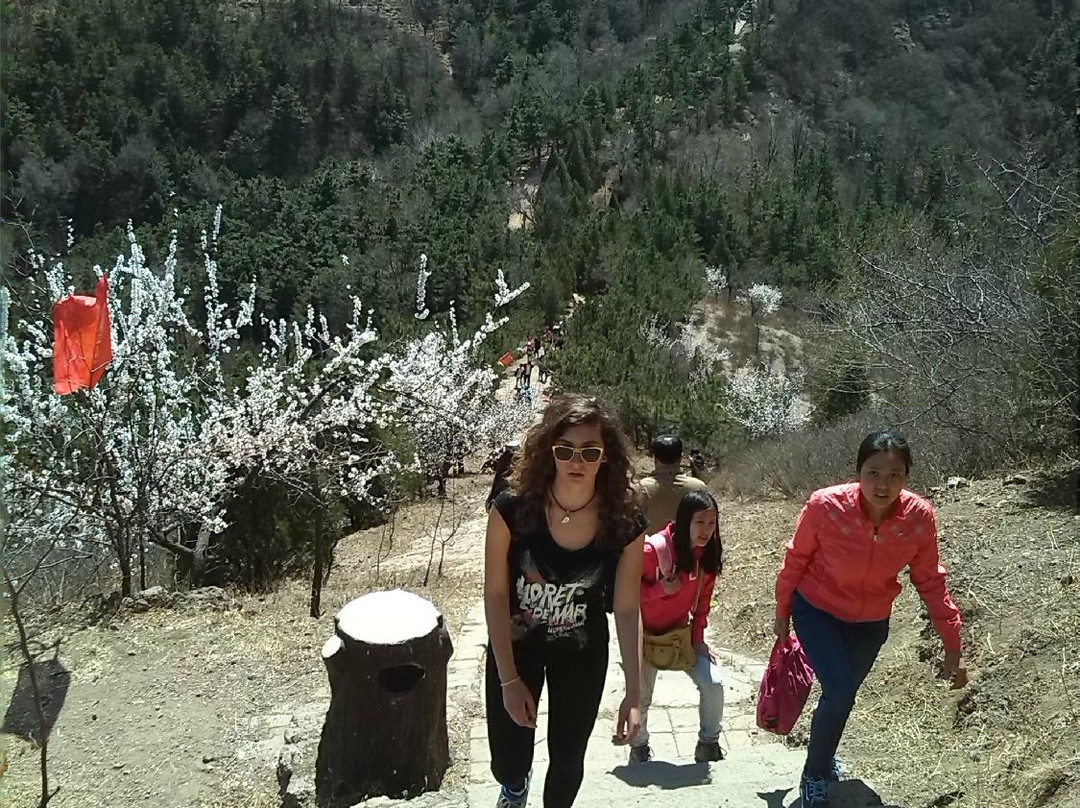 普乐寺-承德市必去景点