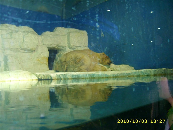 大连老虎滩广场-大连市必去景点