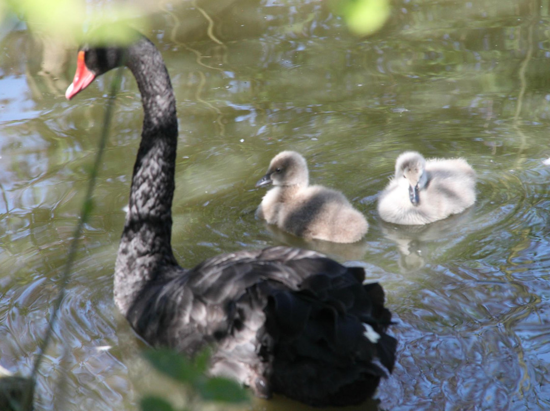 Denmarks Bird Zoo-Tommerup必去景点