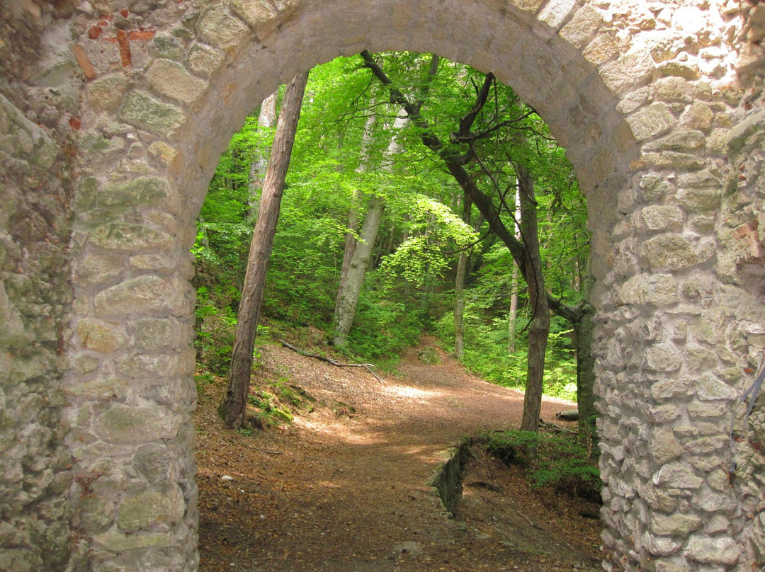 Burgruine Rauhenstein Castle-巴敦必去景点