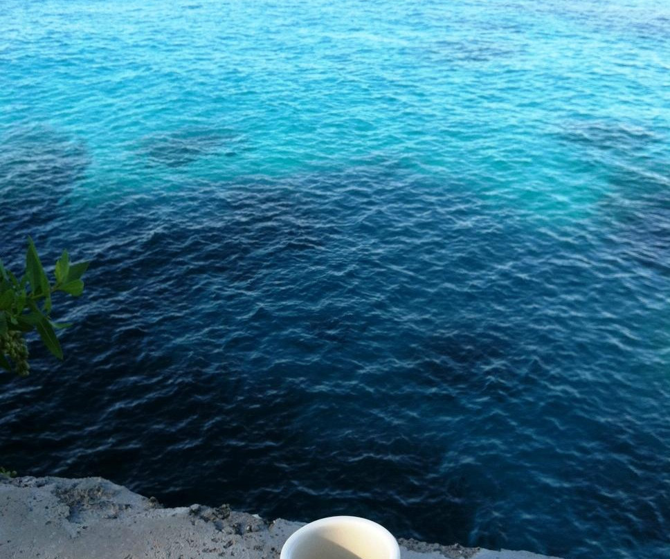 Jamaica Island Taxi Tours景点图片