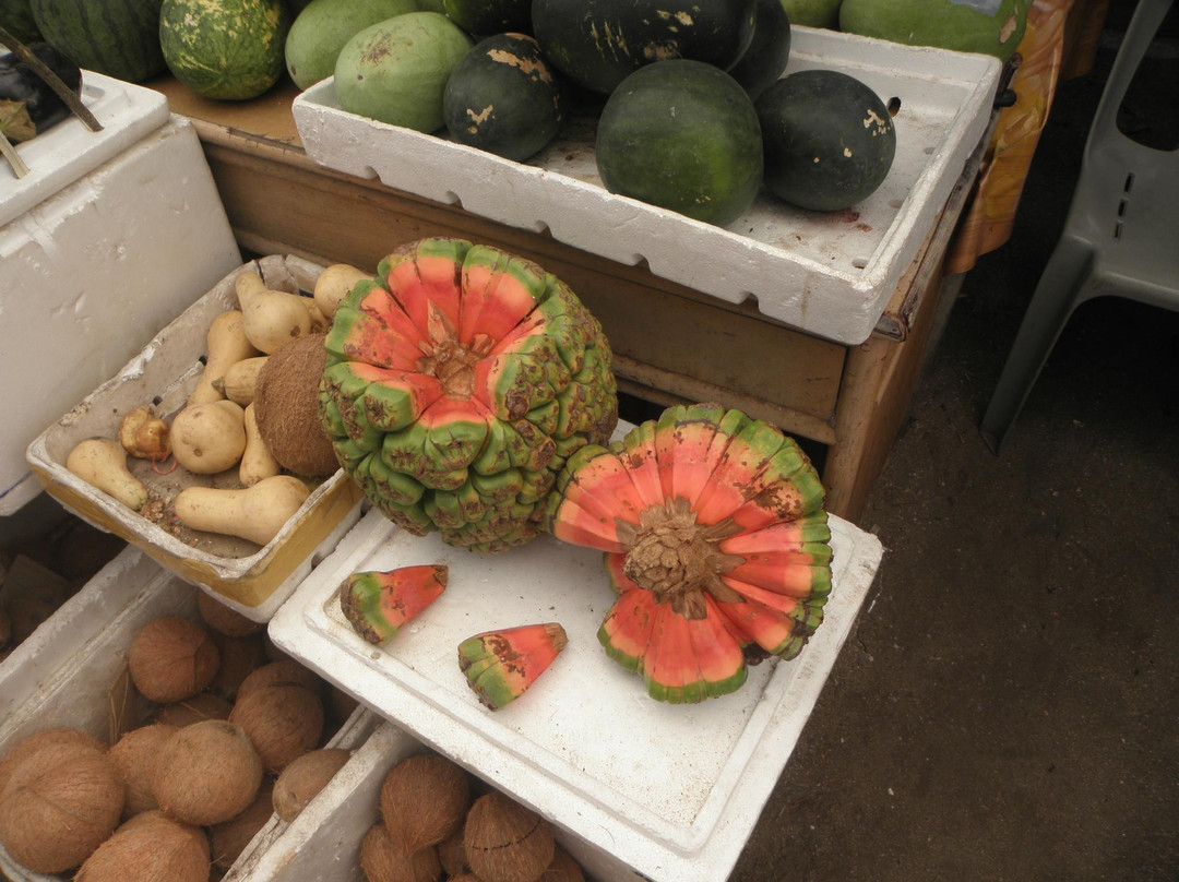 马累男士本地市场-马累必去景点