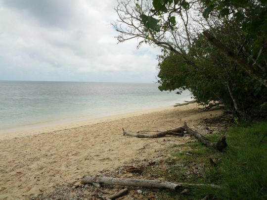 Great Adventures-凯恩斯必去景点