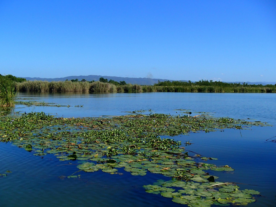 J. Charles Swaby's Black River Safari-Black River必去景点