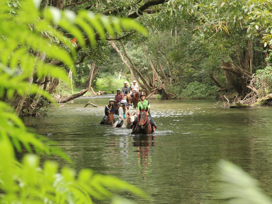 Mount-N-Ride Adventures-凯恩斯必去景点