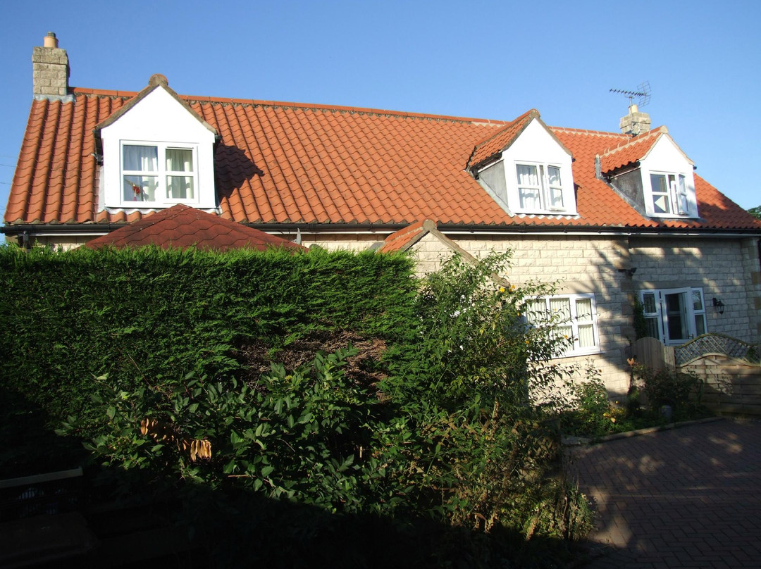 Tasman Bed and Breakfast主图