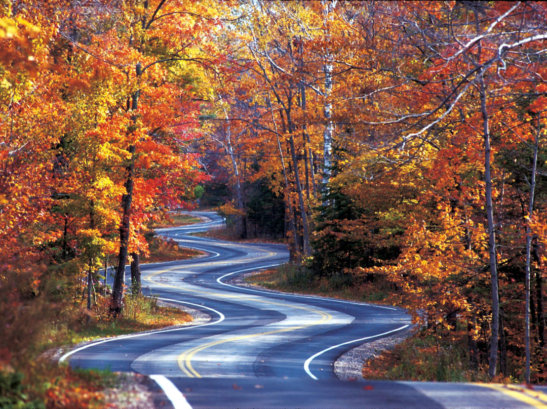 多尔县旅游攻略图片