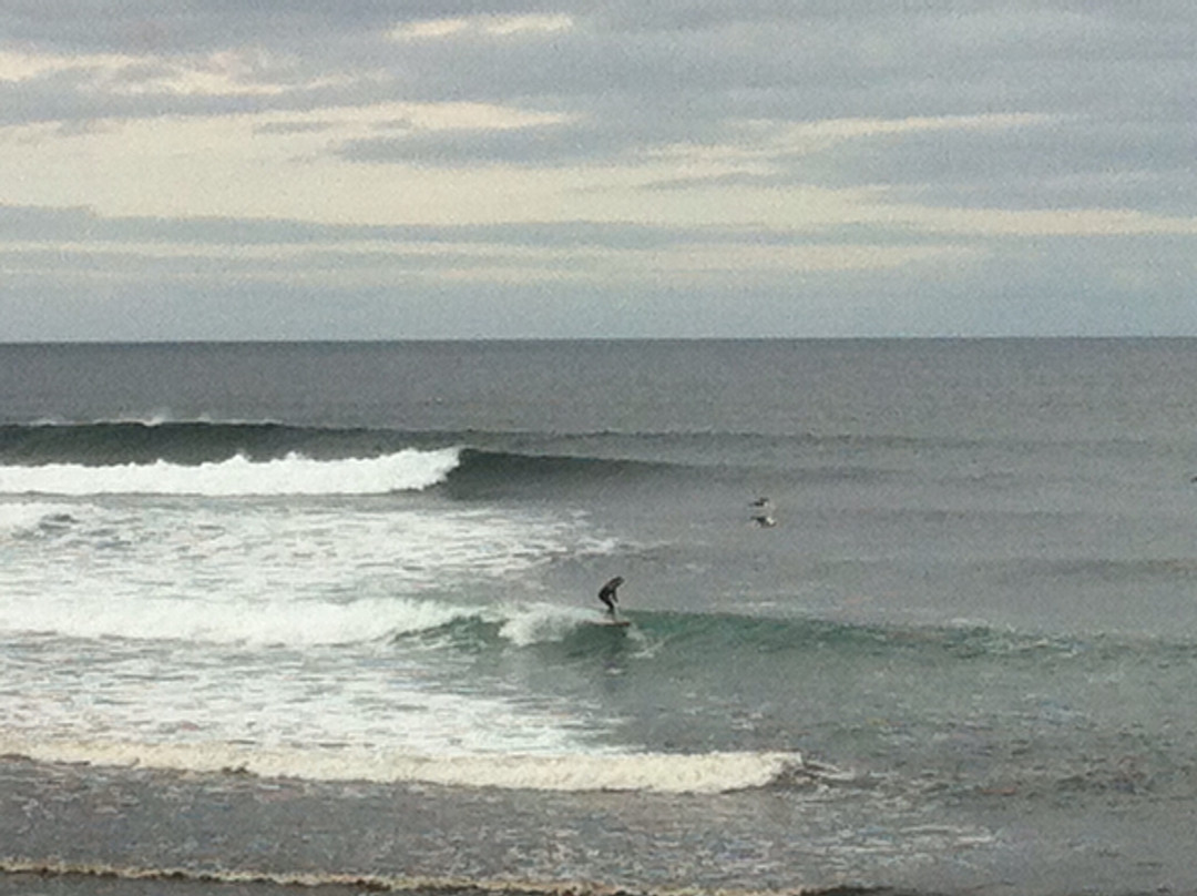 7th Wave Surf School景点图片