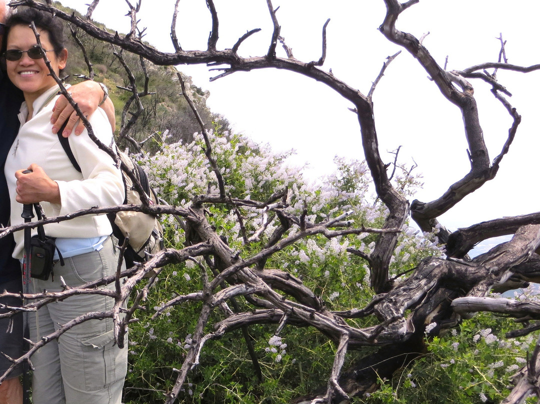 Deukmejian Wilderness Park-格伦代尔必去景点