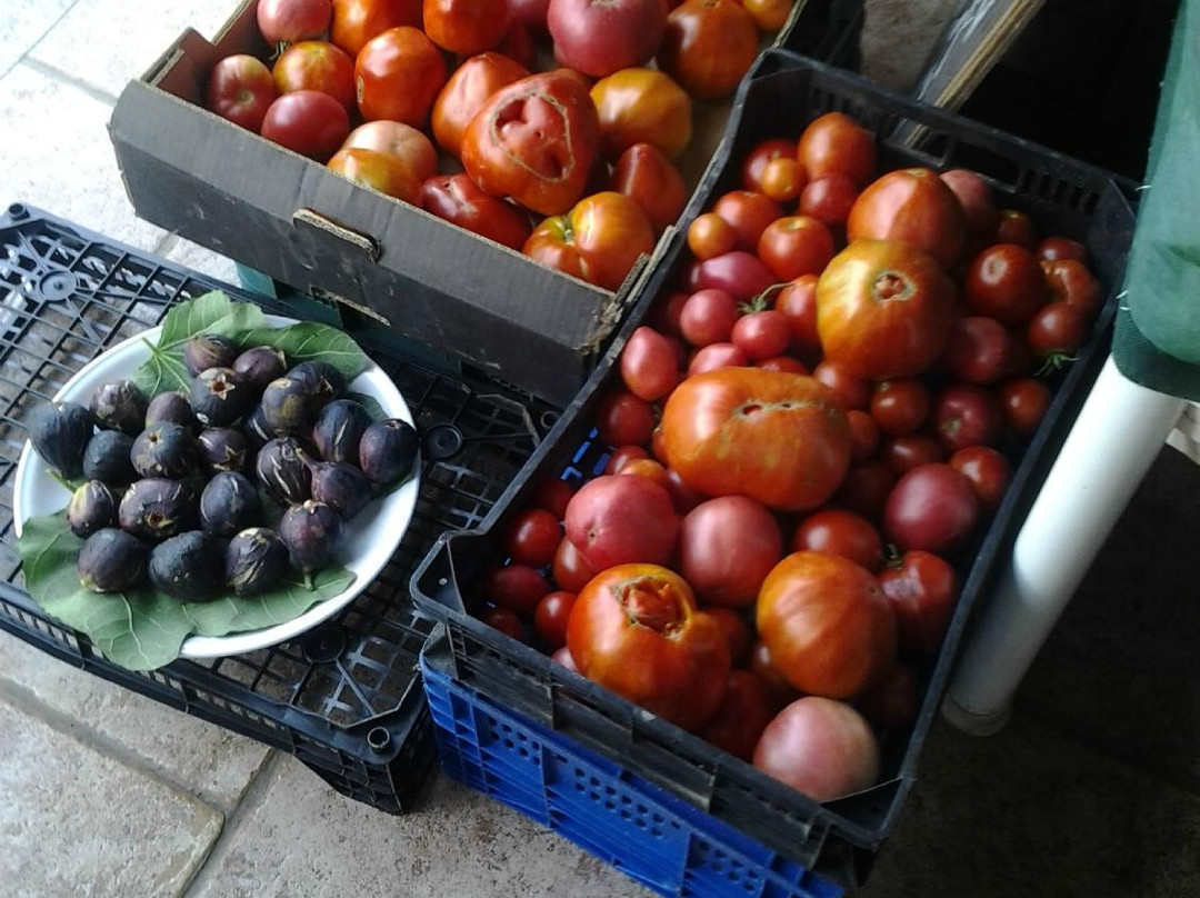 Cuesta la Palma餐馆和美食-Meson Pelaez