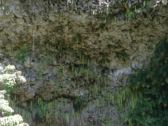 玻利尼西亚探险之旅-火奴鲁鲁必去景点