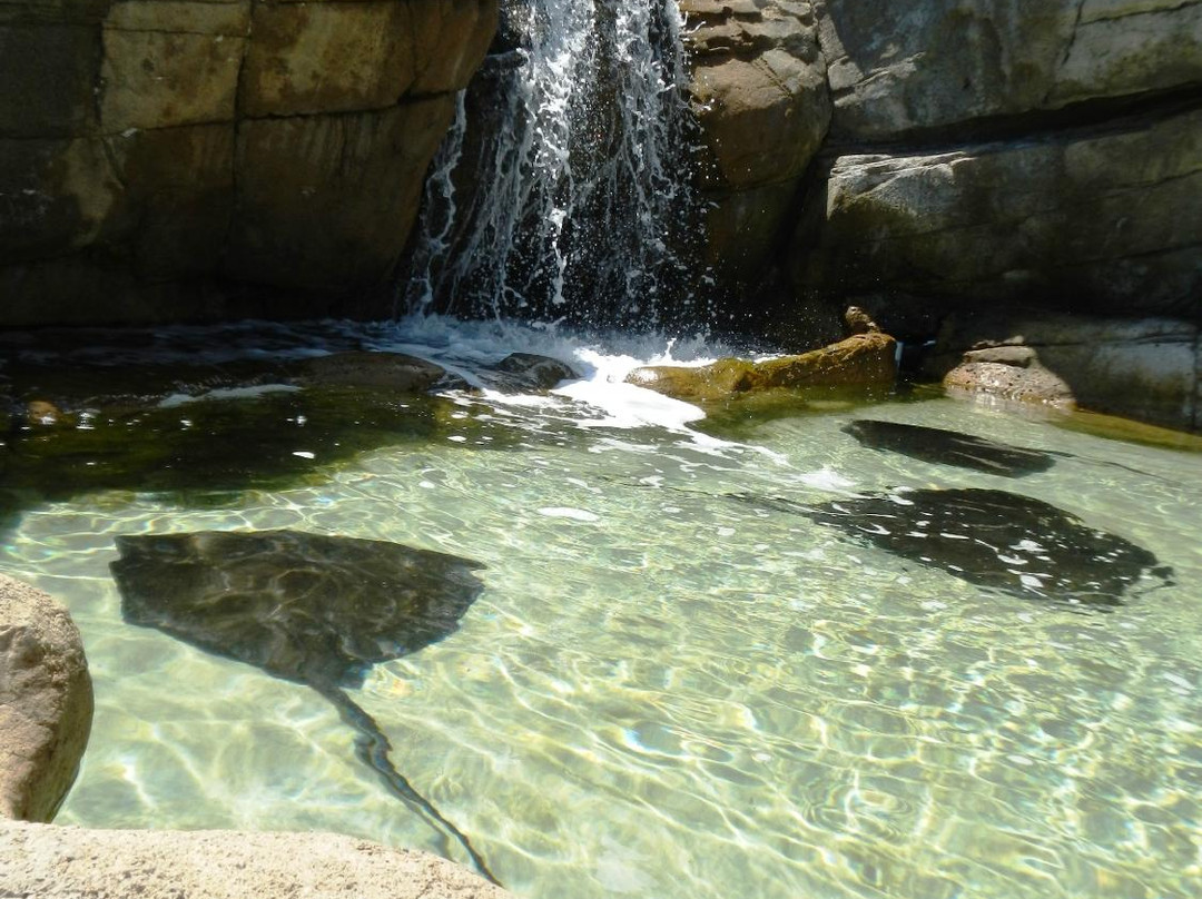 Cofresi Beach-普拉塔港必去景点