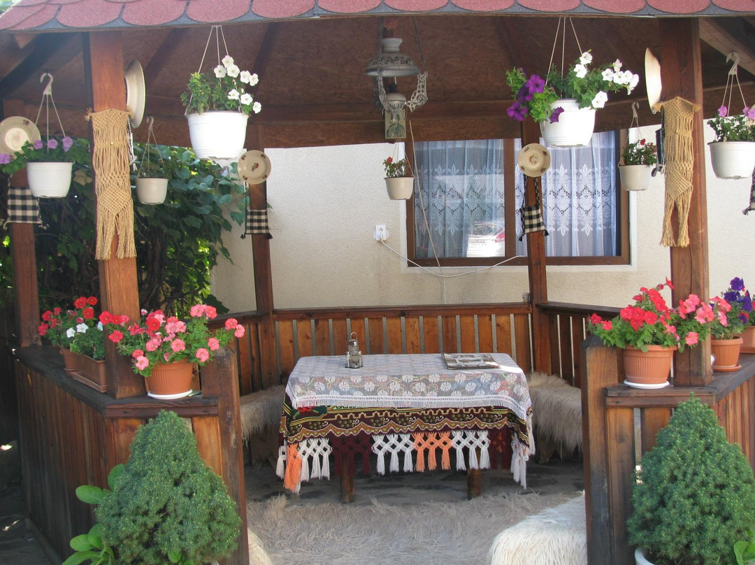 Barsana酒店住宿-Pensiunea Lia Barsana