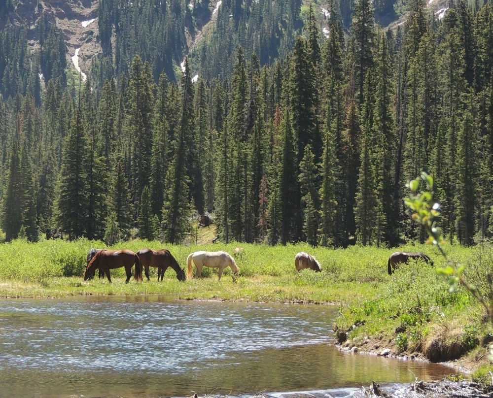 Outwest Guides - Day Tours-Marble必去景点
