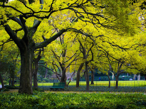 上海中山公园-上海市必去景点