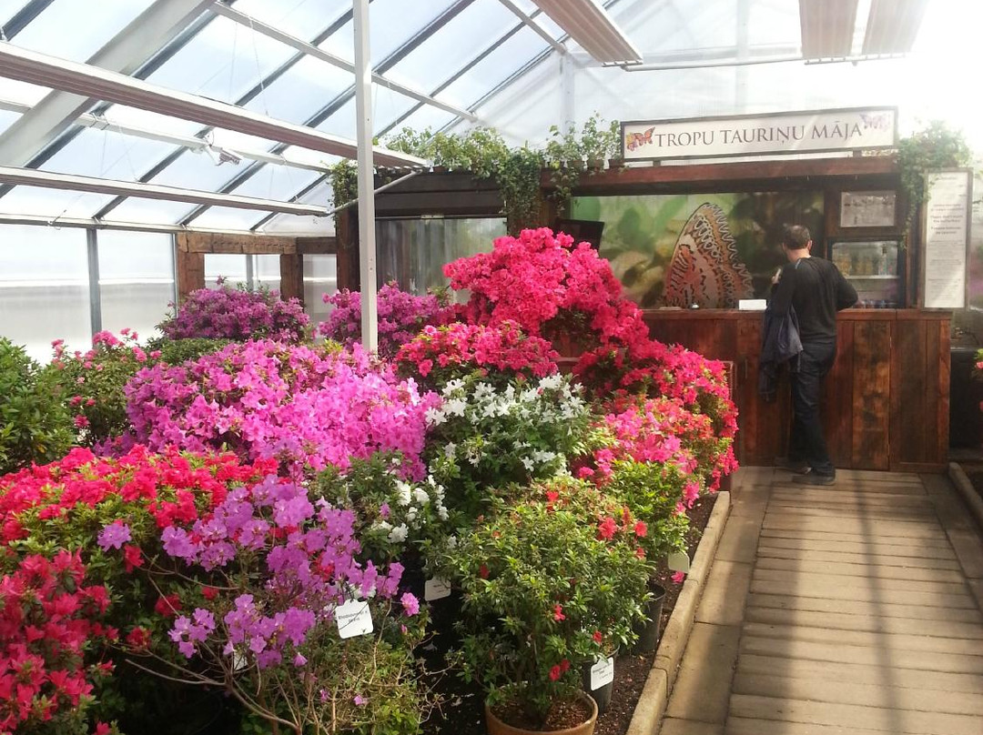 Botanisches Garten des Universitaets-里加必去景点