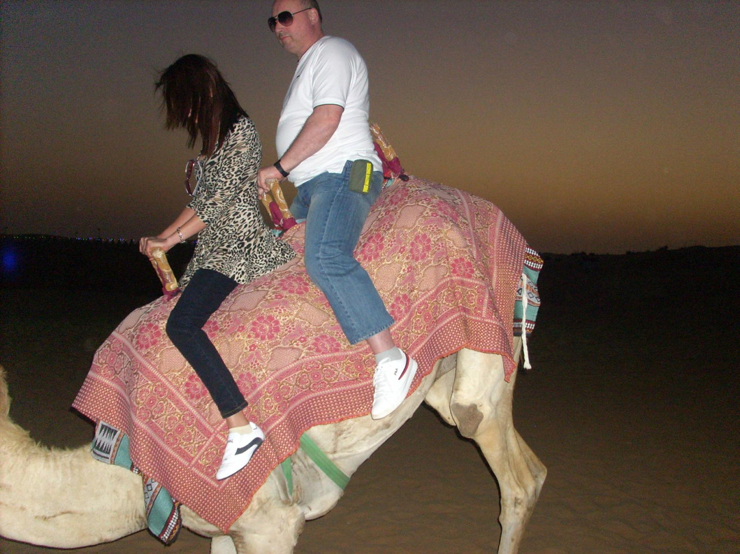 迪拜沙漠保护区-迪拜酋长国必去景点