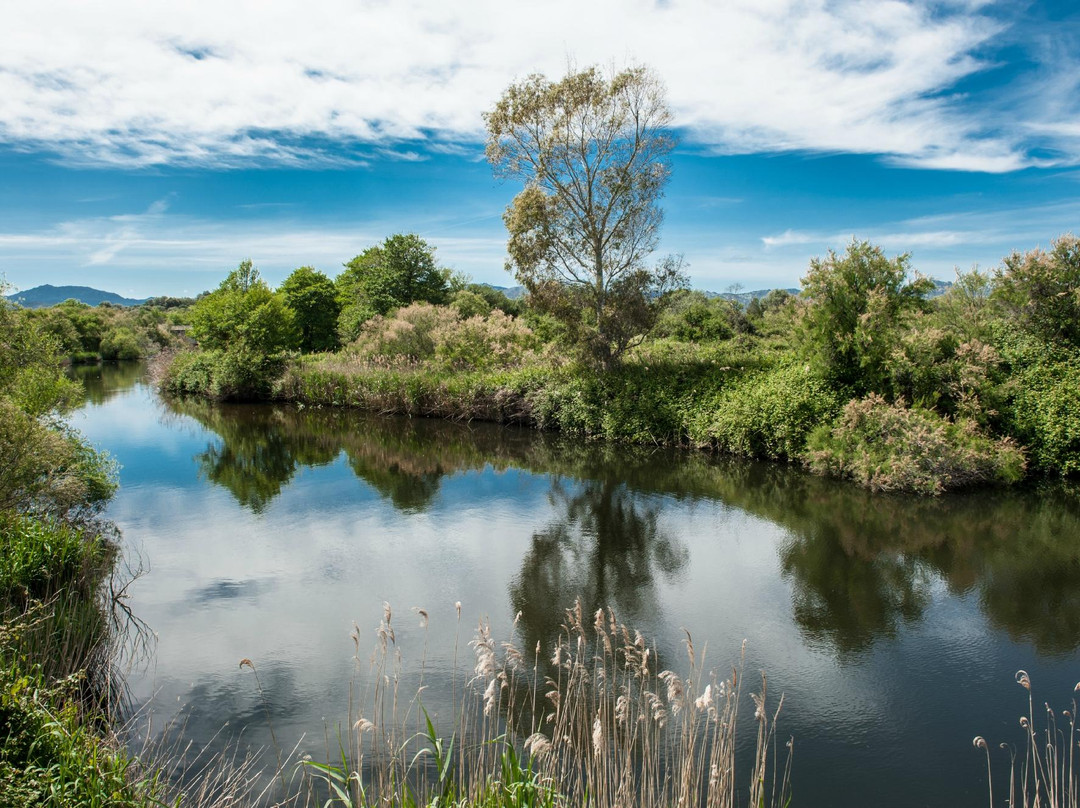 Parco Fluviale del Padrongianus