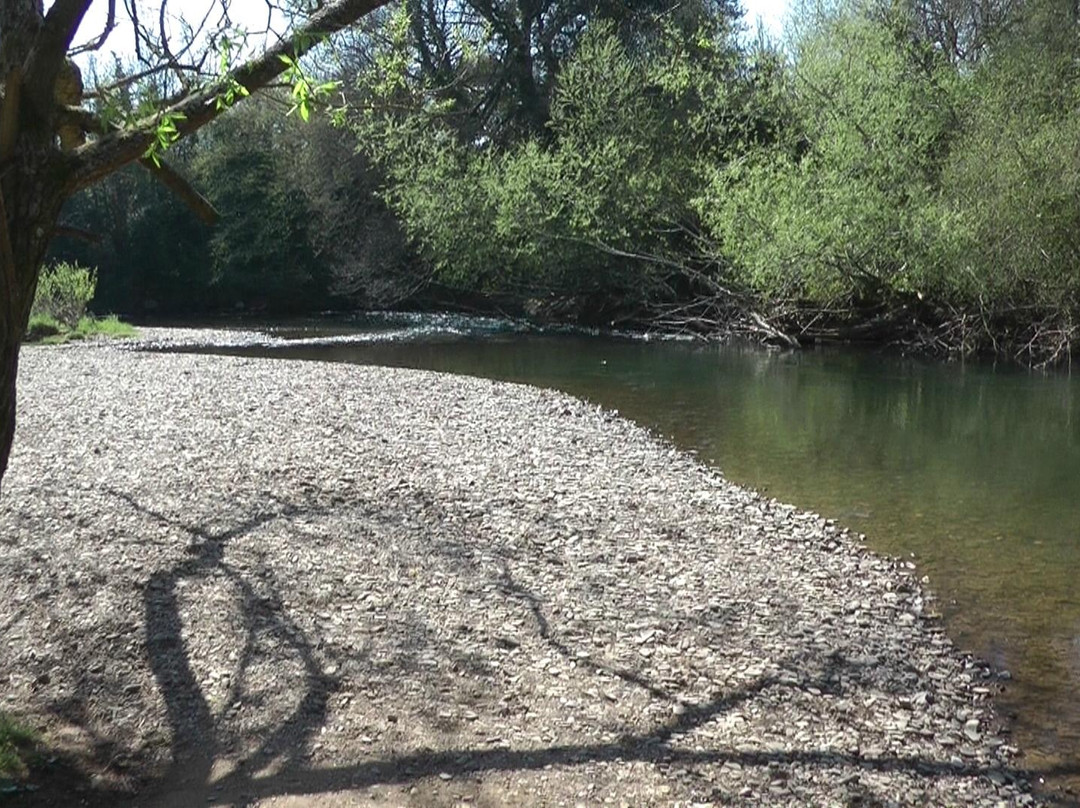 The Exe Valley Bed and Breakfast主图