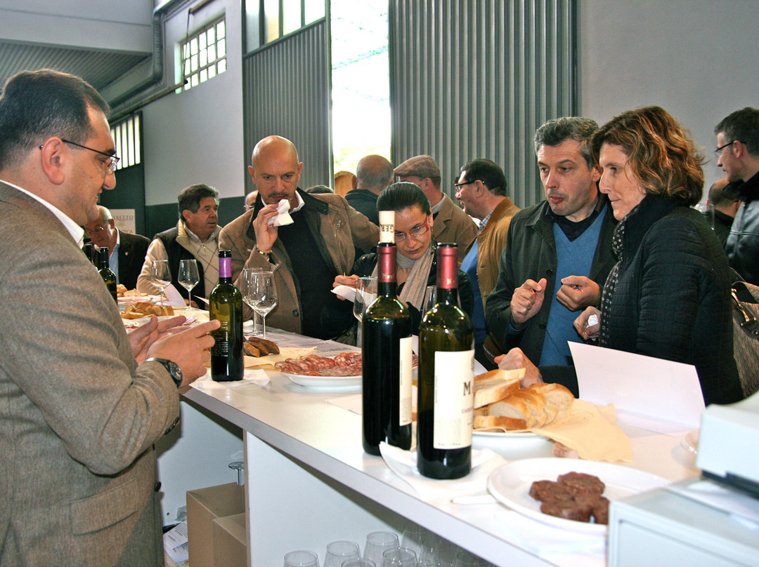 Casa Geretto - Vino Dal 1953-San Stino di Livenza必去景点