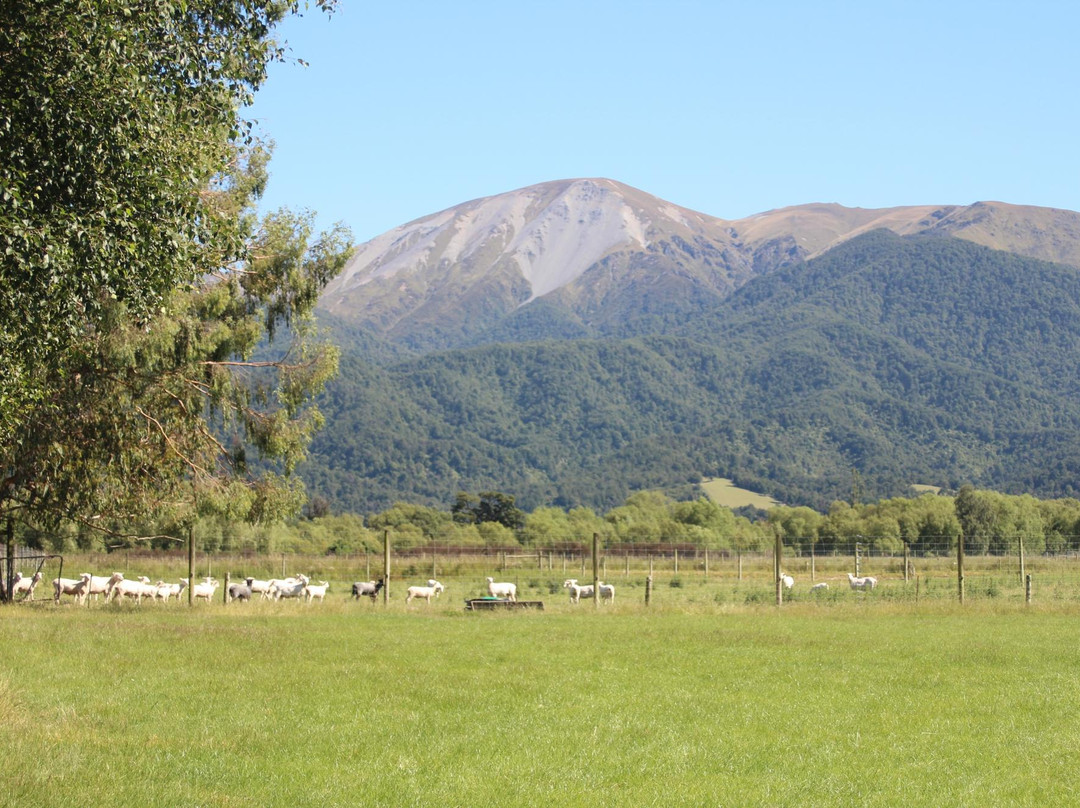 Alpine Views Farmstay and B&B主图