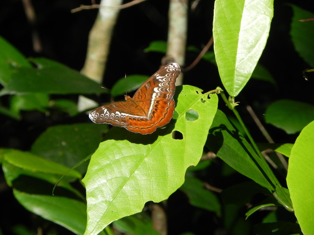 Balpakram National Park景点图片
